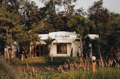 Rice Field Home