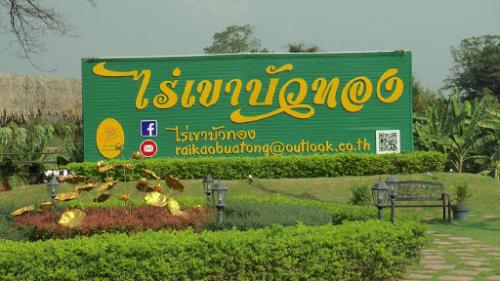 ไร่เขาบัวทอง