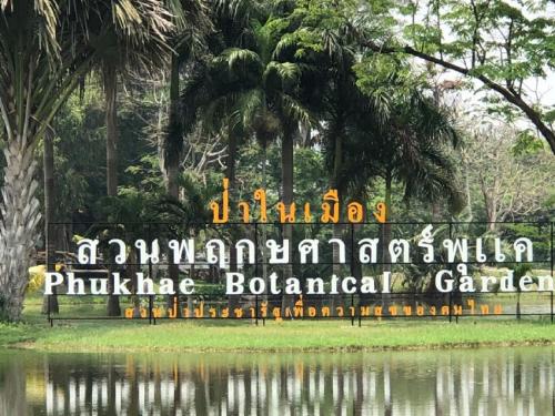 สวนพฤกษศาสตร์พุแค